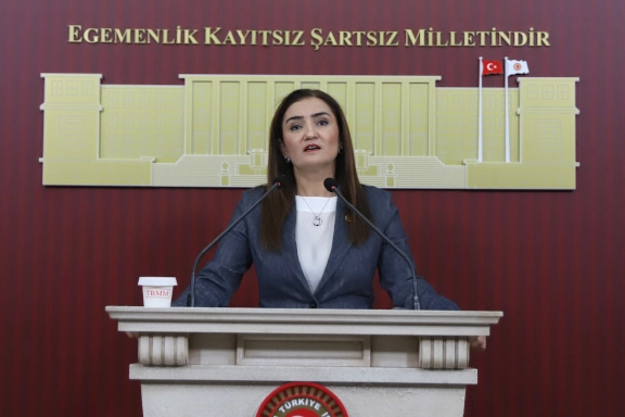 CHP’li Sevda Erdan Kılıç: “Silahların Susması Barışın Başlangıcıdır”
